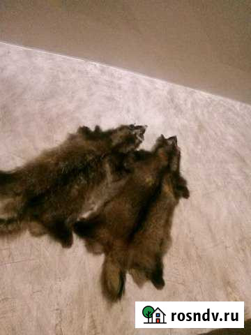 Дача 20 м² на участке 6 сот. в аренду на длительный срок в Волжском Волгоградской области Волжский - изображение 1