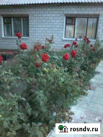 Комната 45 м² в 6-ком. кв., 1/1 эт. в аренду посуточно в Яровом Яровое - изображение 1