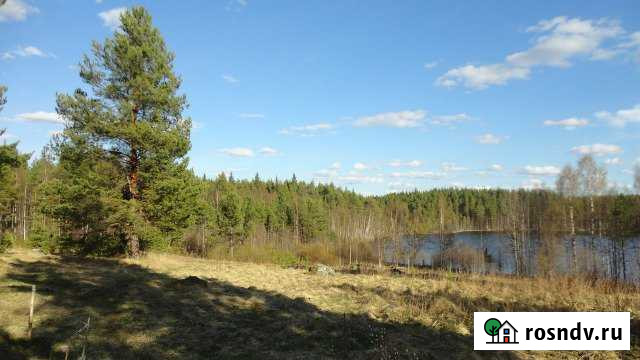 Участок СНТ, ДНП 100 сот. на продажу в Костомукше Костомукша - изображение 1