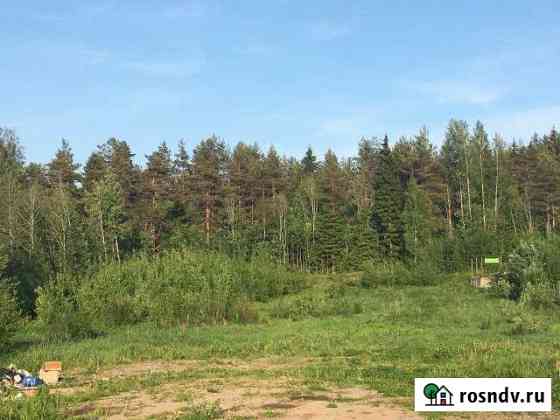 Участок ИЖС 25 сот. на продажу в Сосново Сосново