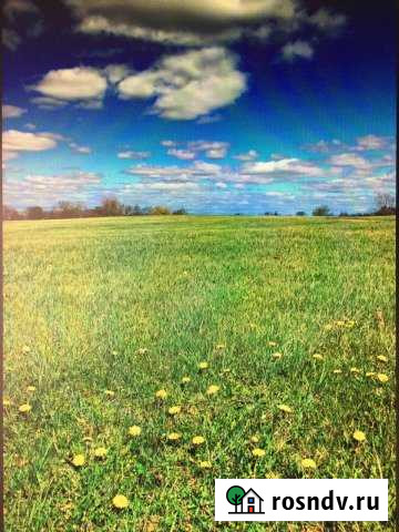 Участок СНТ, ДНП 386 сот. на продажу в Мурмино Мурмино - изображение 1