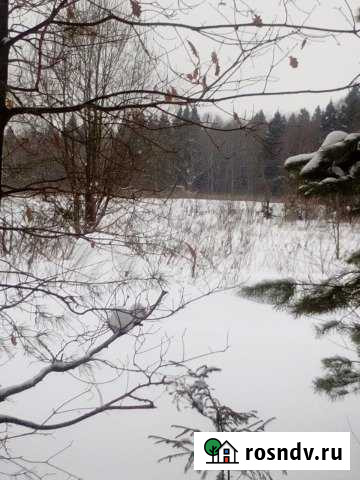 Участок СНТ, ДНП 15 сот. на продажу в Икше Икша - изображение 1