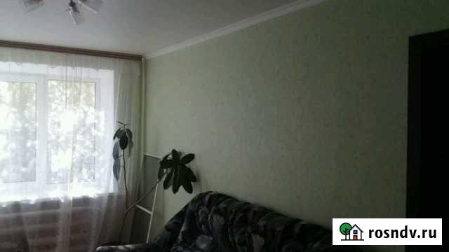 3-комнатная квартира, 52 м², 1/2 эт. на продажу в Хрящевке Хрящевка - изображение 1