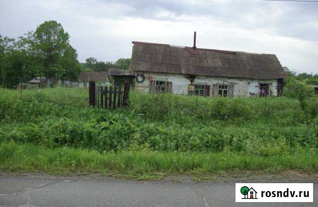 Дом 25 м² на участке 45 сот. на продажу в Партизанске Партизанск - изображение 1