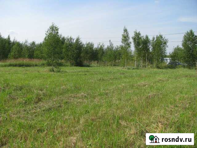 Участок СНТ, ДНП 12 сот. на продажу в Ступино Ступино - изображение 1