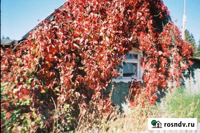 Дом 36 м² на участке 70 сот. на продажу в Майском Пермского края Майский - изображение 1