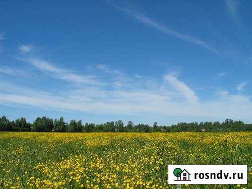 Участок СНТ, ДНП 23 сот. на продажу в Лесном Городке Лесной Городок - изображение 1