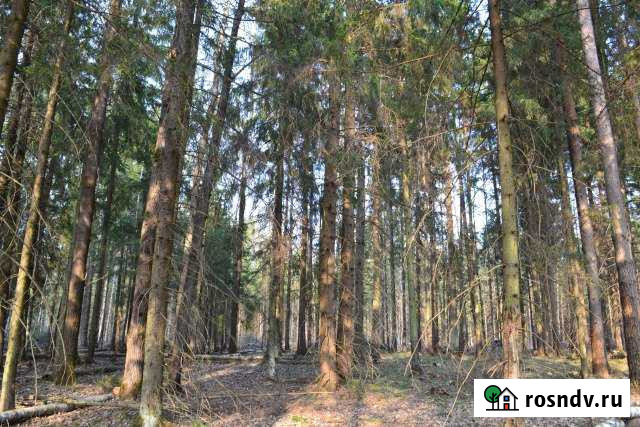 Участок ИЖС 12 сот. на продажу в Некрасовском Московской области Некрасовский - изображение 1