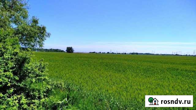 Участок СНТ, ДНП 800 сот. на продажу в Мингрельской Мингрельская - изображение 1