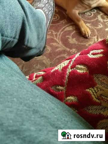 1-комнатная квартира, 32 м², 5/5 эт. в аренду на длительный срок в Рыбинске Рыбинск - изображение 1