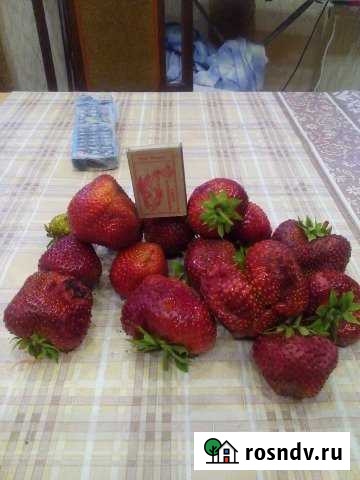 Участок СНТ, ДНП 5 сот. на продажу в Сызрани Сызрань - изображение 1