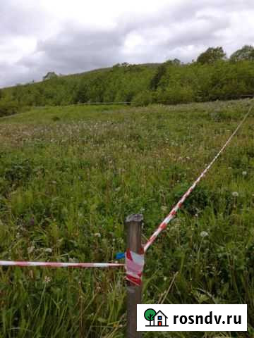 Участок ИЖС 8 сот. на продажу в Елизово Елизово - изображение 1