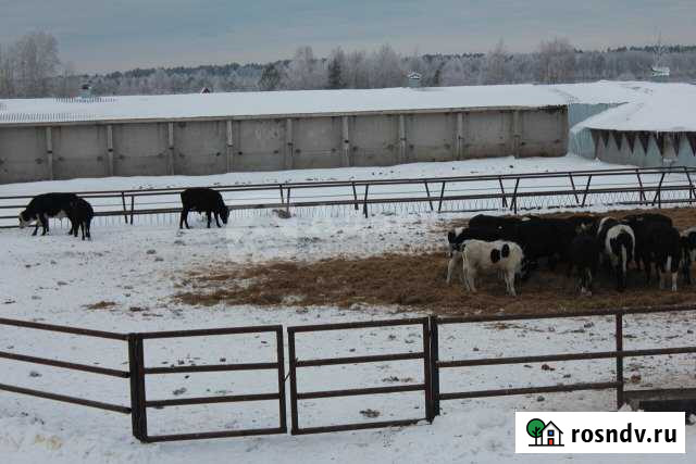 Доходная недвижимость 2500 кв.м., ул. Ленина, Юрги Юргинское - изображение 1