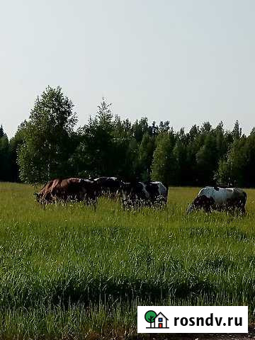 Дача 85 м² на участке 6 сот. в аренду на длительный срок в Краснозаводске Краснозаводск - изображение 1