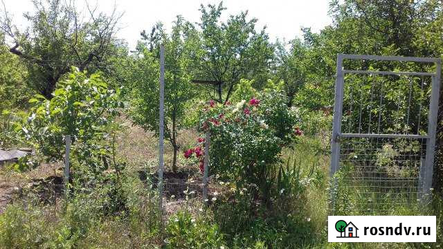 Участок СНТ, ДНП 6 сот. на продажу в Новочеркасске Новочеркасск - изображение 1