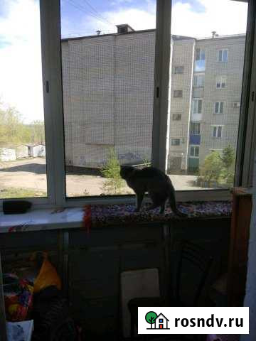 1-комнатная квартира, 33 м², 2/5 эт. на продажу в Белогорске Амурской области Белогорск - изображение 1