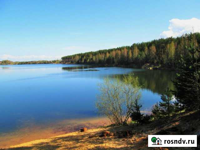 Участок СНТ, ДНП 20 сот. на продажу в Сосновом Бору Сосновый Бор - изображение 1