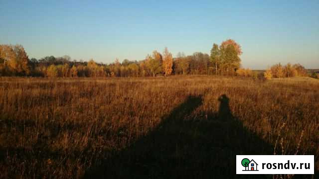 Участок ИЖС 30 сот. на продажу в Зубцове Зубцов - изображение 1