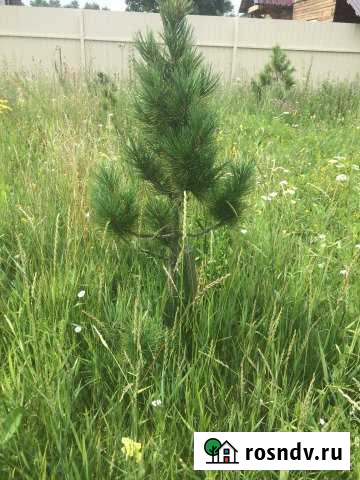 Дом 160 м² на участке 20 сот. на продажу в Оби Обь - изображение 1