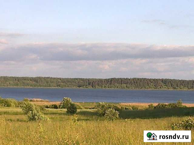 Участок ИЖС 1200 сот. на продажу в Красногородске Красногородск - изображение 1