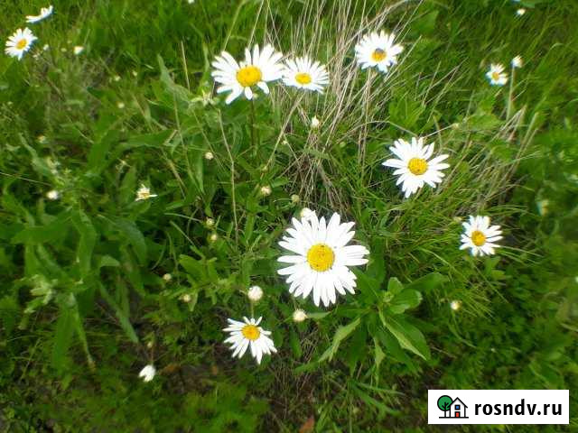 Участок ИЖС 12 сот. на продажу в Ухолово Ухолово - изображение 1