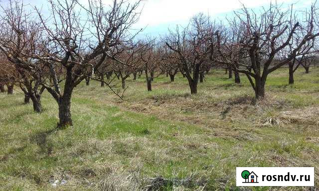 Участок СНТ, ДНП 11 сот. на продажу в Нальчике Нальчик - изображение 1
