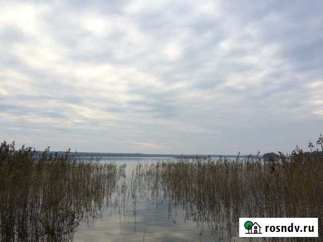 Участок ИЖС 20 сот. на продажу в Невеле Невель - изображение 1