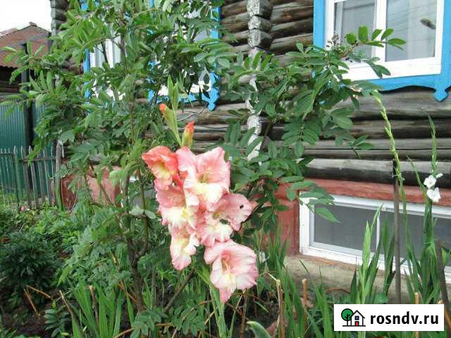 Дом 120 м² на участке 12 сот. на продажу в Куйбышеве Куйбышев - изображение 1