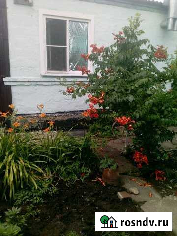 Дом 54 м² на участке 29 сот. на продажу в Гривенской Гривенская - изображение 1