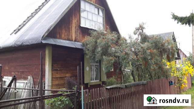 Дача 20 м² на участке 4 сот. на продажу в Сибирском Сибирский - изображение 1