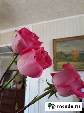 Комната 17 м² в 1-ком. кв., 4/9 эт. на продажу в Новокуйбышевске Новокуйбышевск - изображение 1