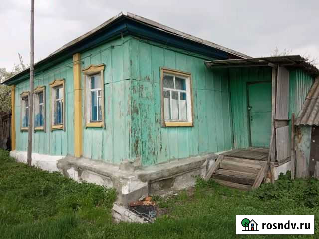 Дом 59 м² на участке 22 сот. на продажу в Репьевке Репьевка - изображение 1