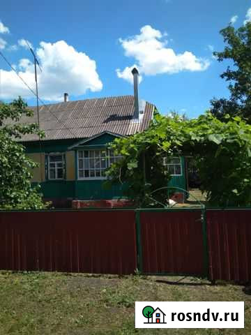 Дом 65 м² на участке 53 сот. на продажу в Панино Панино - изображение 1