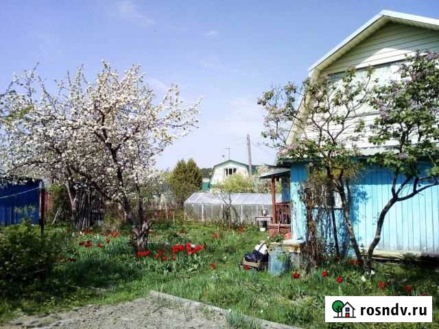 Дача 50 м² на участке 5 сот. на продажу в Линде Линда - изображение 1