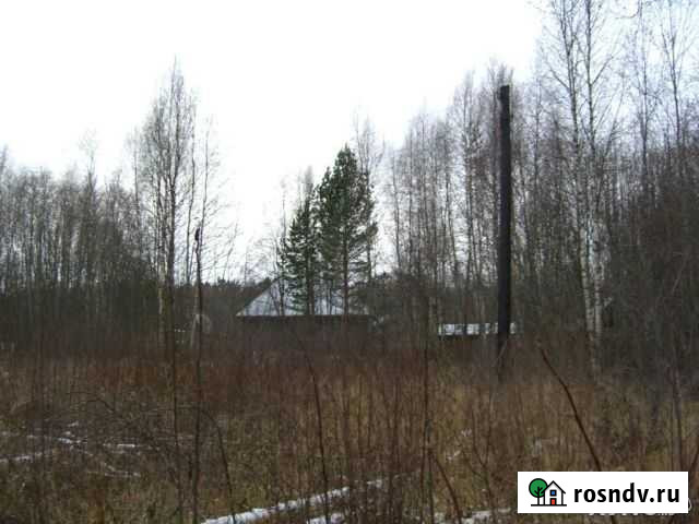 Участок ИЖС 16 сот. на продажу в Приозерске Приозерск - изображение 1