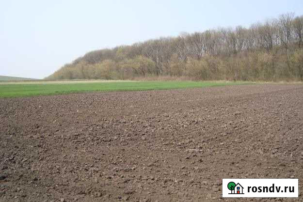 Участок СНТ, ДНП 250 сот. на продажу в Майкопе Майкоп - изображение 1