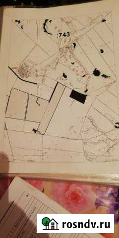 Участок СНТ, ДНП 2500 сот. на продажу в Искитиме Искитим - изображение 1