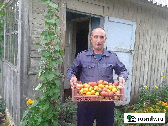 Участок СНТ, ДНП 4 сот. на продажу в Октябрьском Республики Башкортостан Октябрьский - изображение 1