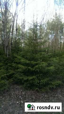 Участок СНТ, ДНП 1323 сот. на продажу в Кондрово Кондрово - изображение 1