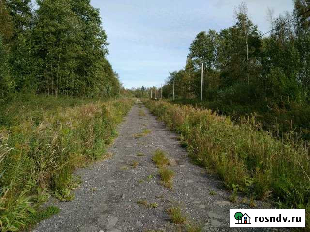 Участок СНТ, ДНП 12 сот. на продажу в Приладожском Приладожский - изображение 1