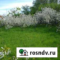 1-комнатная квартира, 37 м², 1/2 эт. на продажу в Шатках Шатки - изображение 1