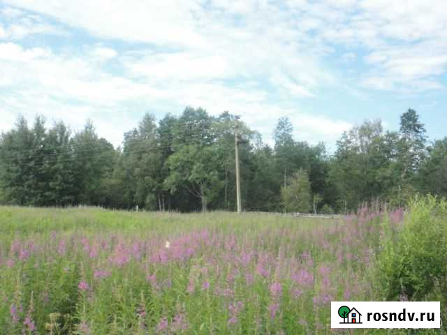 Участок ИЖС 15 сот. на продажу в Сясьстрое Сясьстрой - изображение 1