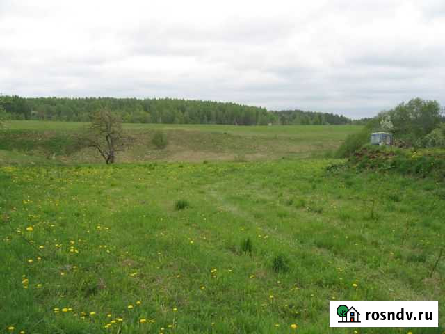 Участок ИЖС 36 сот. на продажу в Печорах Печоры - изображение 1