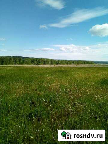 Участок СНТ, ДНП 800 сот. на продажу в Сарапуле Сарапул - изображение 1