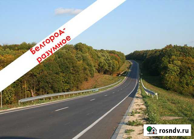 Участок промназначения 294 сот. на продажу в Белгороде Белгород - изображение 1