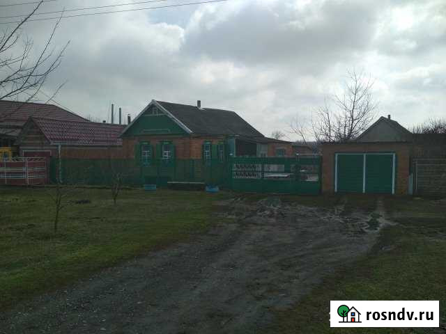 Дом 40 м² на участке 35 сот. на продажу в Фастовецкой Фастовецкая - изображение 1