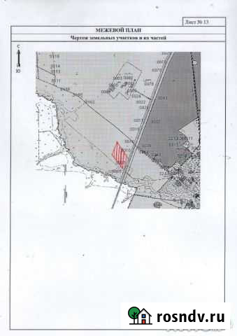 Участок СНТ, ДНП 400 сот. на продажу в Клинцах Клинцы - изображение 1