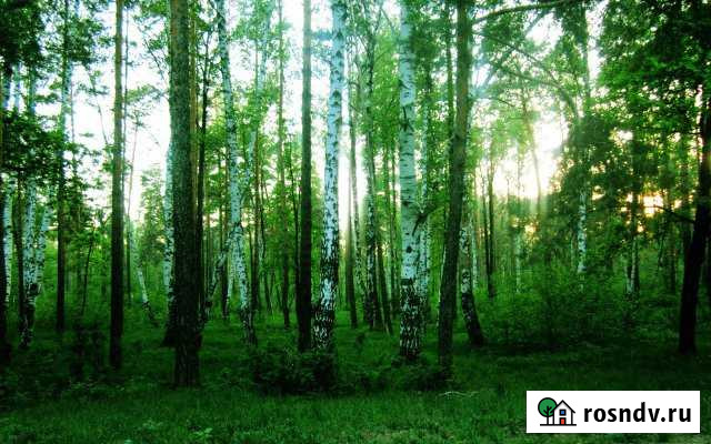 Участок ИЖС 20 сот. на продажу в Звенигороде Звенигород - изображение 1