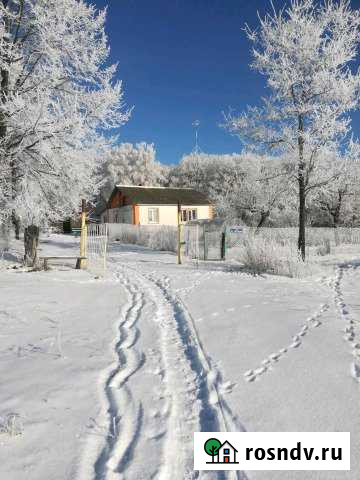 Дом 54 м² на участке 16 сот. на продажу в Черни Чернь - изображение 1