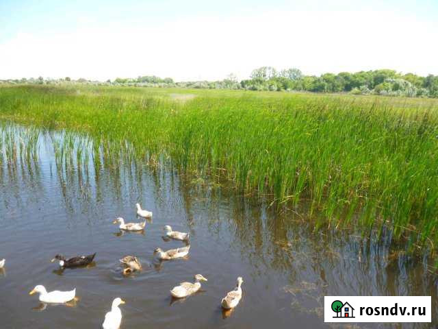 Участок ИЖС 9 сот. на продажу в Азове Азов - изображение 1